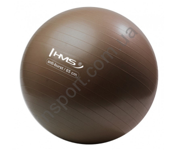 Мяч для фитнеса (фитбол) HMS YB02 65 см Anti-Burst Braun