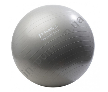 Мяч для фитнеса (фитбол) HMS YB02 55 см Anti-Burst Silver