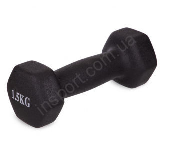 Гантели для фитнеса с неопреновым покрытием 1 кг Fitnessport VDD-02-1k