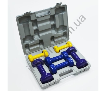 Гантели FitLogic Home Vinyl Dumbbel Set Box BDB-01С