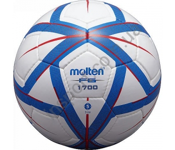 Футбольный мяч Molten F4G1700-BR
