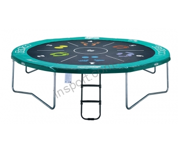 Батут Berg Champion Tattoo 14 ft 430