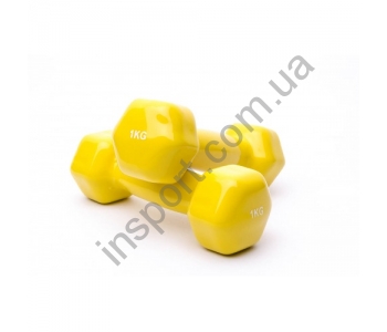 VDD-01-1к Гантель аэробная виниловая Alex 1 кг