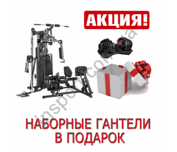 Фитнес станция Finnlo Autark 2500 New (100кг)