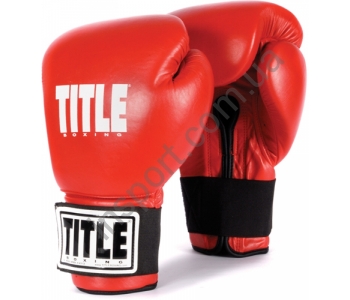 Перчатки для бокса TITLE Boxing Eternal Pro Training 2004