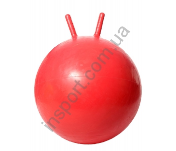 DD 61185 Флекс бол с рукоятками d=55см