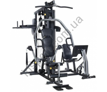 Фитнес станция Horizon Torus 5