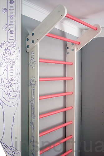 Спортуголок «Сосна» цветной (базовая комплектация без навесного)