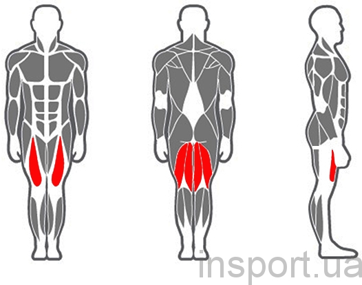 X 111 Тренажер для мышц бедра (комбинированный)