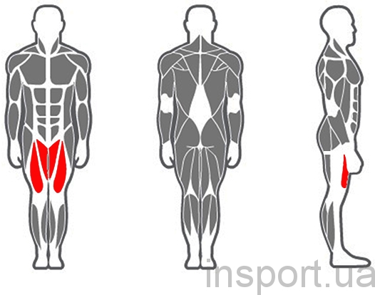 BT202.1 Жим ногами / Гак машина (комбинированный)