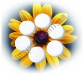 Камни для холодной стоунтерапии Камни для холодной стоунтерапии